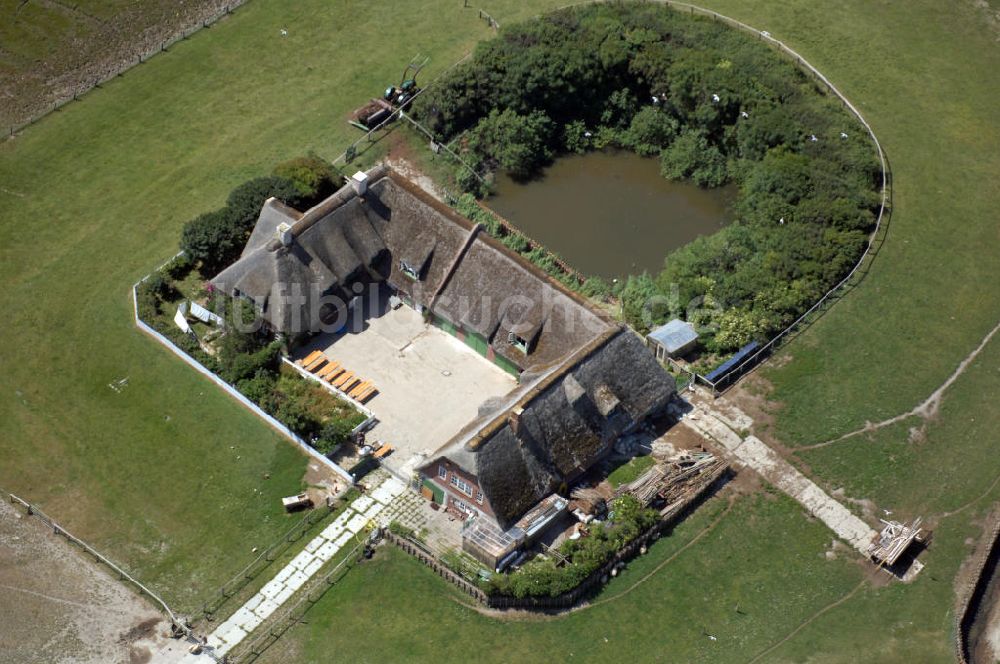 Hallig Süderoog aus der Vogelperspektive: Hallig Süderoog