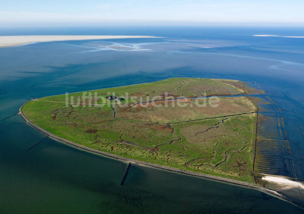 SÜDERDEROOG von oben - Hallig Süderoog, vor der Westküste von Schleswig-Holstein