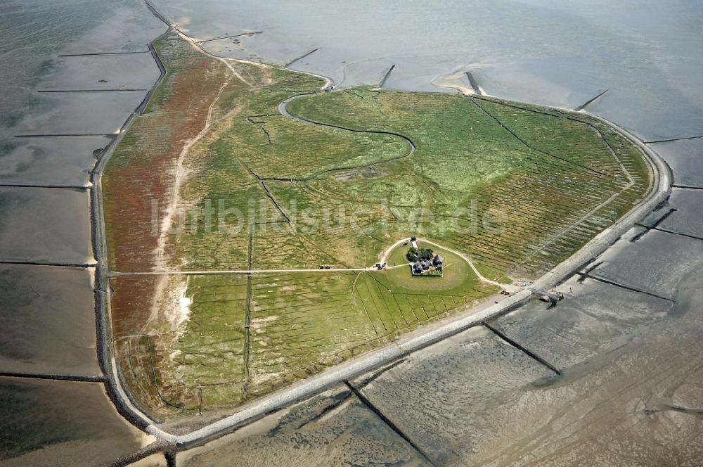 Pellworm von oben - Hallig Südfall bei Pellworm im Bundesland Schleswig-Holstein