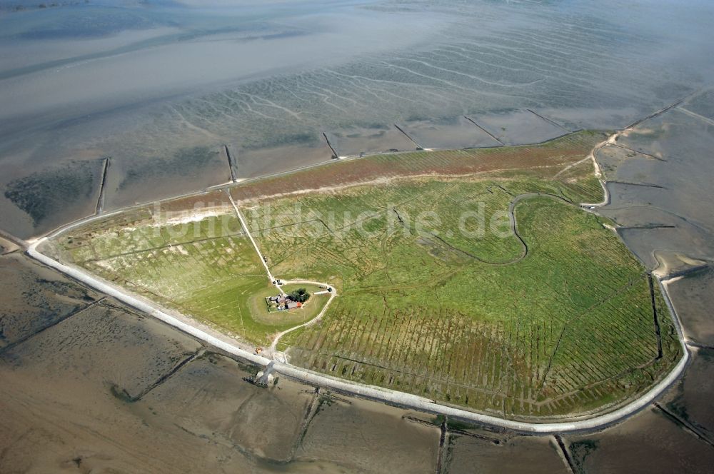 Pellworm aus der Vogelperspektive: Hallig Südfall bei Pellworm im Bundesland Schleswig-Holstein