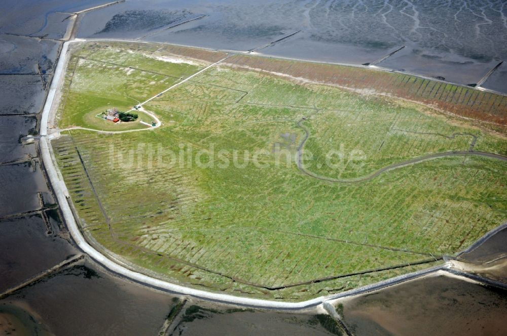 Pellworm von oben - Hallig Südfall bei Pellworm im Bundesland Schleswig-Holstein