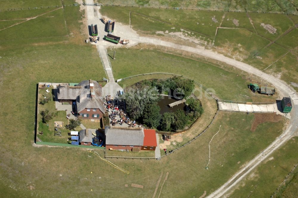 Pellworm aus der Vogelperspektive: Hallig Südfall bei Pellworm im Bundesland Schleswig-Holstein