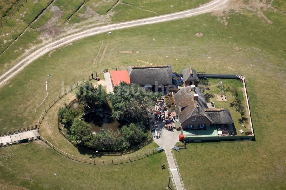 Luftaufnahme Pellworm - Hallig Südfall bei Pellworm im Bundesland Schleswig-Holstein