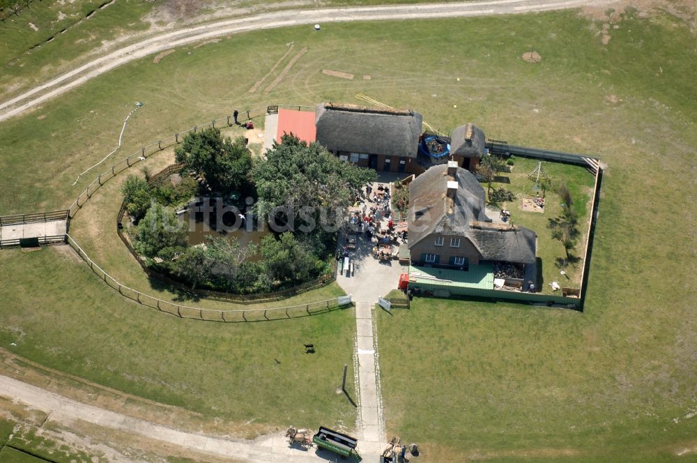 Pellworm aus der Vogelperspektive: Hallig Südfall bei Pellworm im Bundesland Schleswig-Holstein