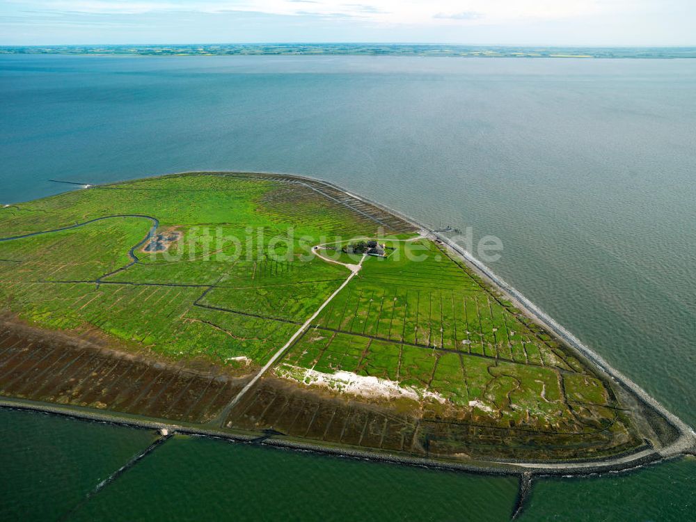 Südfall von oben - Hallig Südfall in Schleswig-Holstein