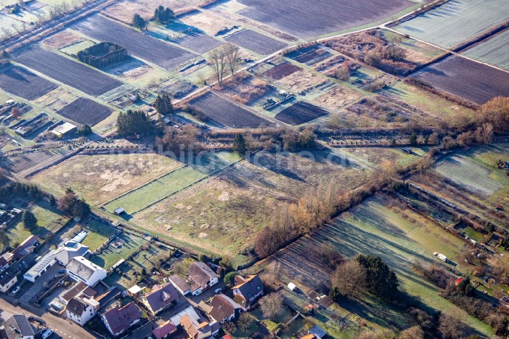 Luftbild Steinfeld - Höckerlinie Panzersperre aus dem 2. Weltkrieg in Steinfeld im Bundesland Rheinland-Pfalz, Deutschland