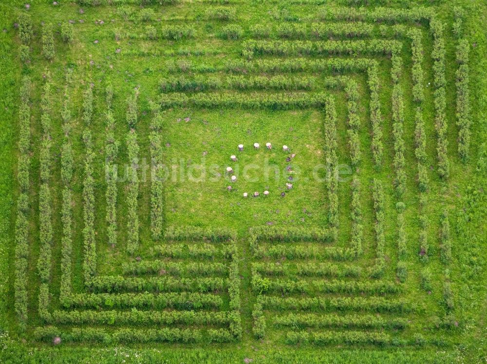 Luftbild Oberhausen Heckenreihen im Garten Osterfeld in