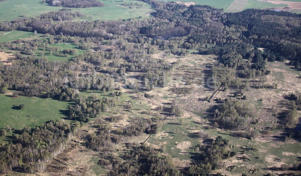 Luftbild Breydin - Heide- Landschaft bei Breydin im Bundesland Brandenburg