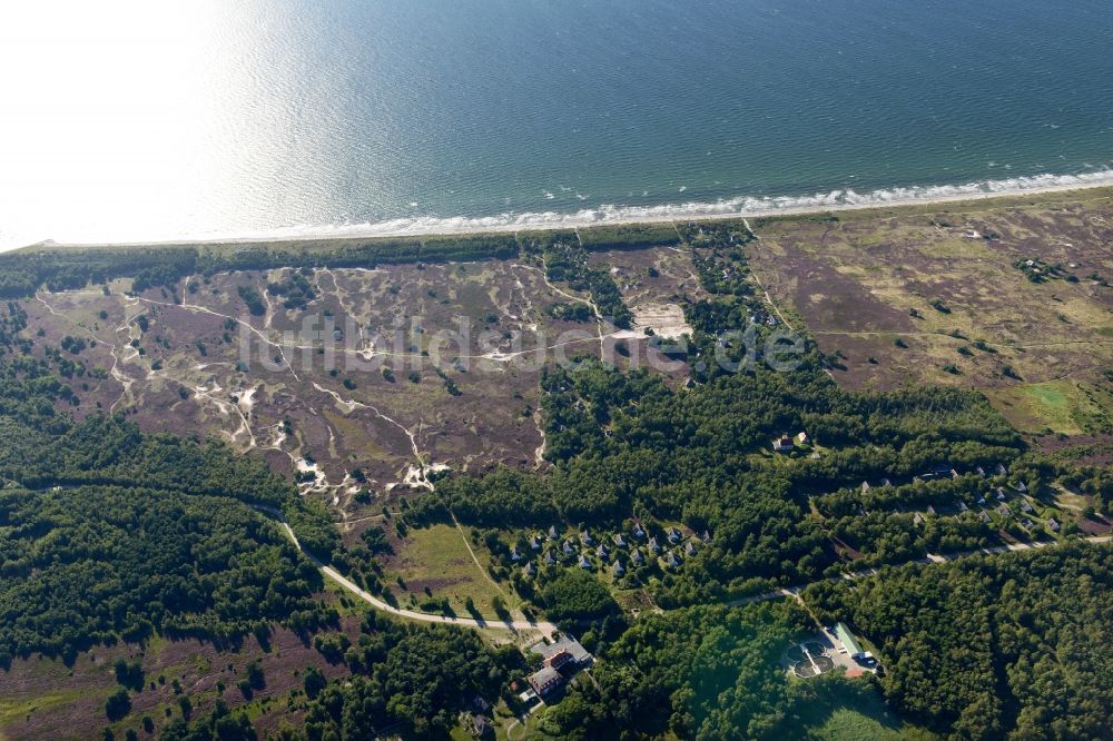 Luftaufnahme Insel Hiddensee - Heide- Landschaft Dünenheide an der Meeres-Küste der Ostsee Insel Hiddensee im Bundesland Mecklenburg-Vorpommern