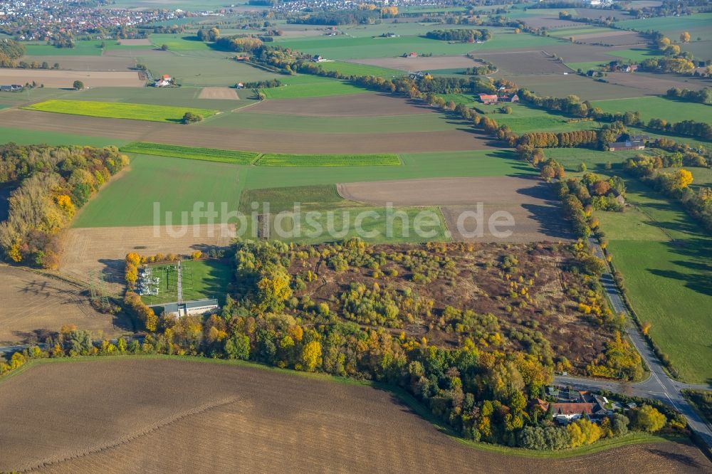 Hamm aus der Vogelperspektive: Heide- Landschaft an der Martinstraße in Hamm im Bundesland Nordrhein-Westfalen