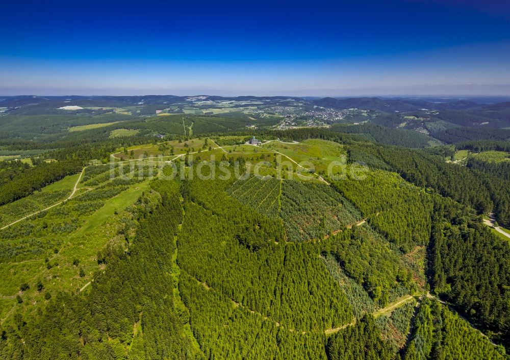 Luftbild Winterberg - Heidelandschaft im Gebirgszug des Kahler Asten in Winterberg im Bundesland Nordrhein-Westfalen