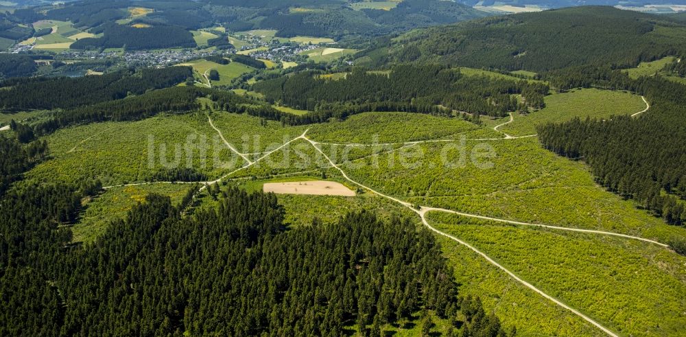 Niedersfeld aus der Vogelperspektive: Heidelandschaft im Gebirgszug des Plateaus der Hochheide Neuer Hagen in Niedersfeld im Bundesland Nordrhein-Westfalen