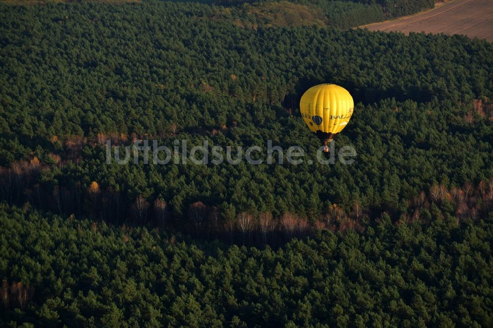 Biesenthal aus der Vogelperspektive: Heißluftballon über einem herbstlichen Wald in Biesenthal im Bundesland Brandenburg