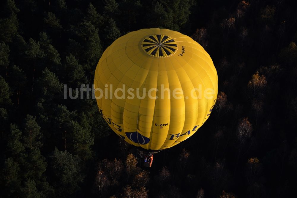 Luftbild Biesenthal - Heißluftballon über einem herbstlichen Wald in Biesenthal im Bundesland Brandenburg