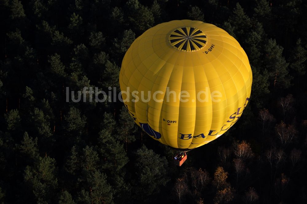 Luftaufnahme Biesenthal - Heißluftballon über einem herbstlichen Wald in Biesenthal im Bundesland Brandenburg