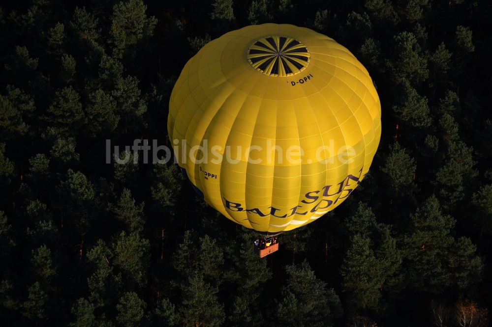 Biesenthal von oben - Heißluftballon über einem herbstlichen Wald in Biesenthal im Bundesland Brandenburg