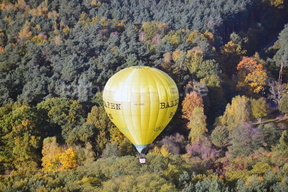 Luftaufnahme Kropstädt - Heißluftballonfahrer über einem herbstlichem Wald bei Kropstädt in Sachsen-Anhalt