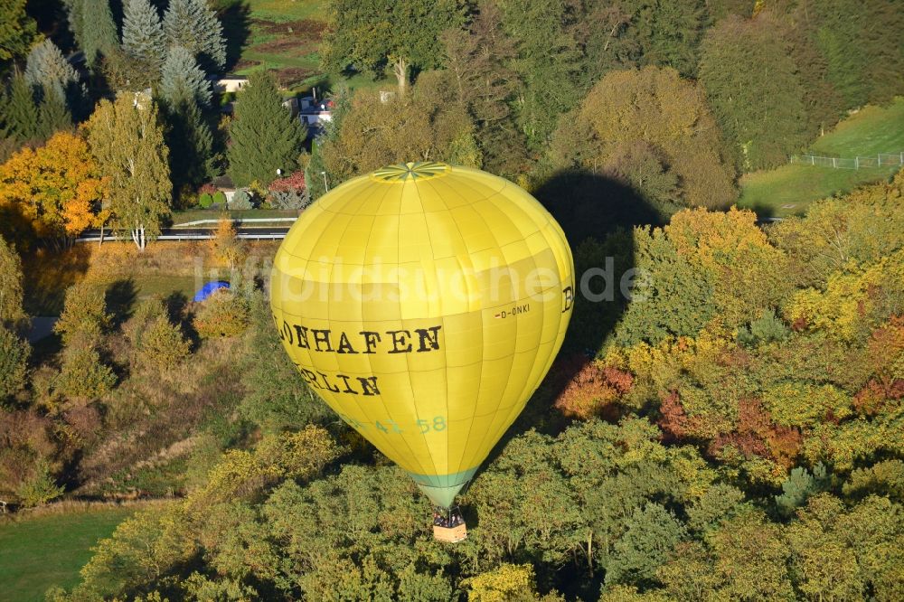 Kropstädt aus der Vogelperspektive: Heißluftballonfahrer über einem herbstlichem Wald bei Kropstädt in Sachsen-Anhalt