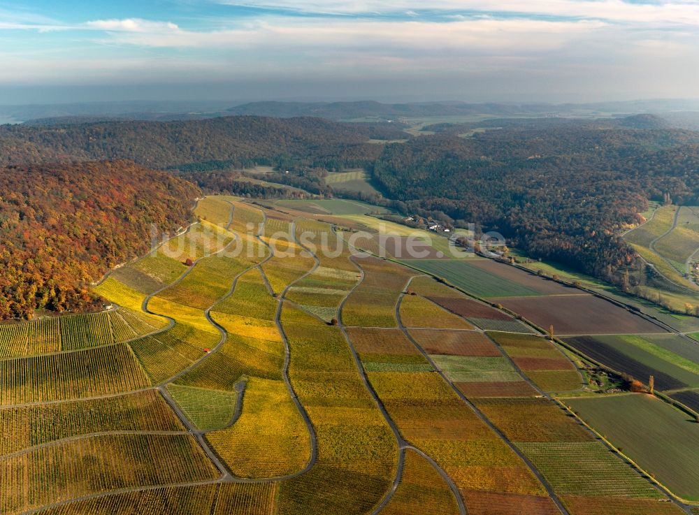 Luftbild Ipfhofen - Herbst - Landschaft von Weinanbau auf den Feldern der Landwirtschaft bei Ipfhofen im Bundesland Bayern