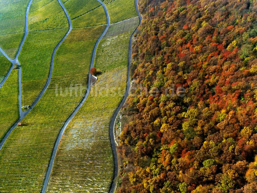 Luftaufnahme Ipfhofen - Herbst - Landschaft von Weinanbau auf den Feldern der Landwirtschaft bei Ipfhofen im Bundesland Bayern