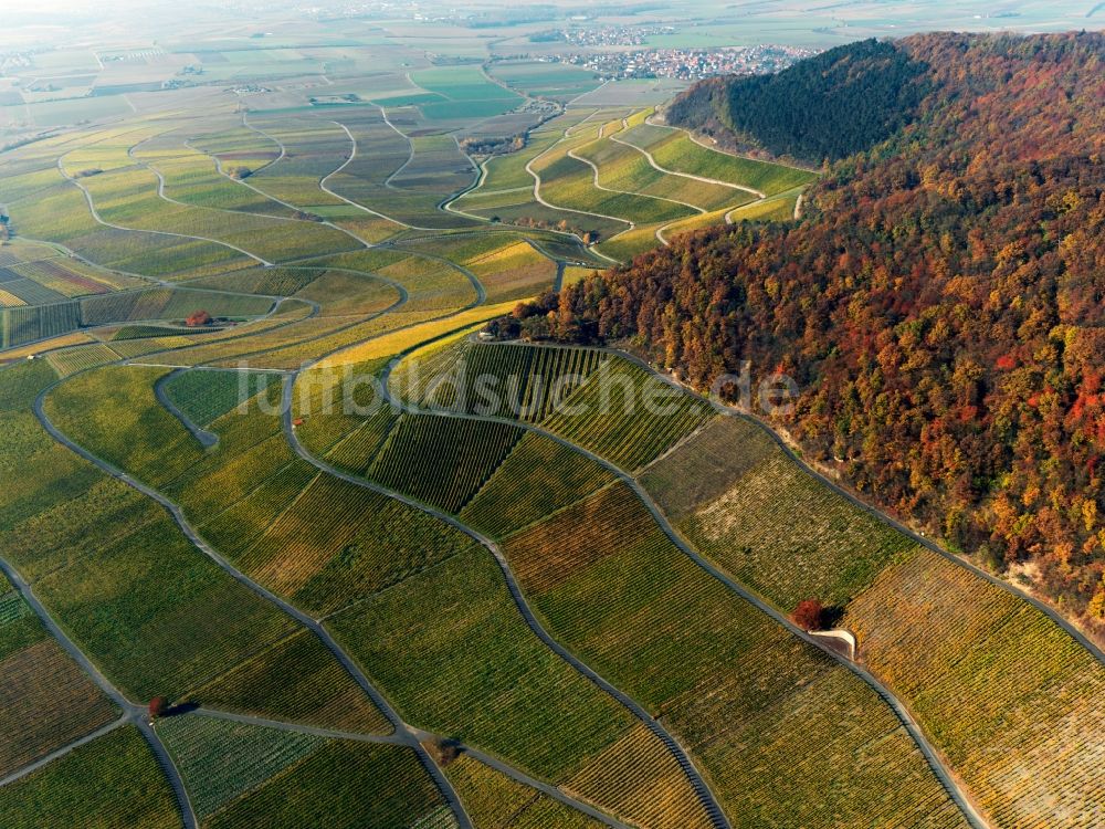 Ipfhofen von oben - Herbst - Landschaft von Weinanbau auf den Feldern der Landwirtschaft bei Ipfhofen im Bundesland Bayern