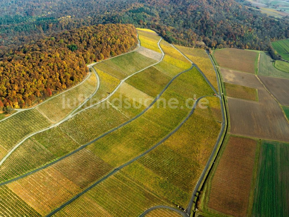 Ipfhofen aus der Vogelperspektive: Herbst - Landschaft von Weinanbau auf den Feldern der Landwirtschaft bei Ipfhofen im Bundesland Bayern