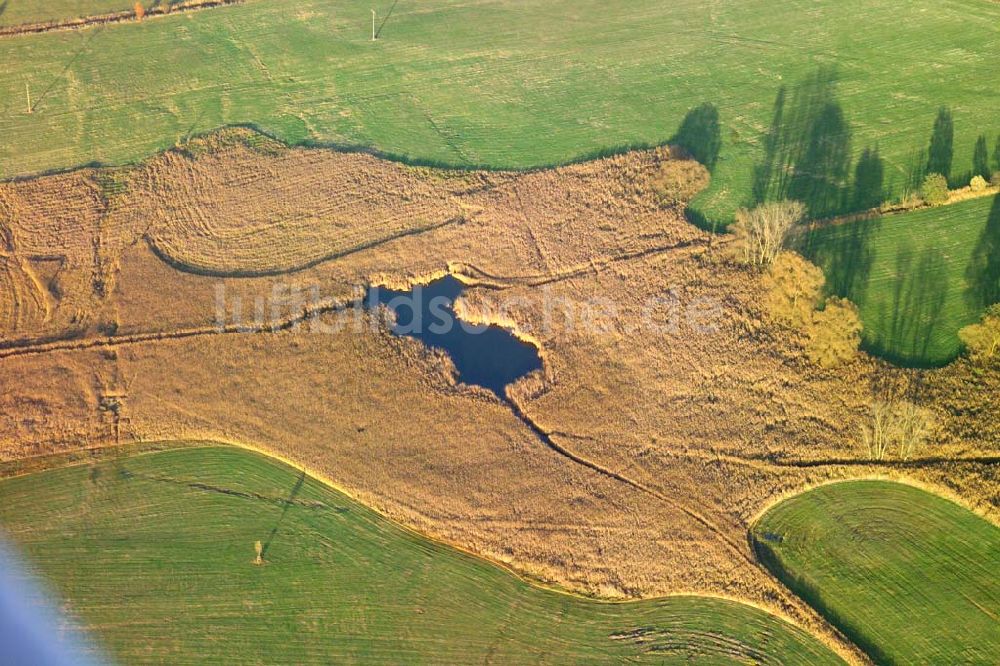 Luftaufnahme Bad Salzungen - Herbstlandschaft