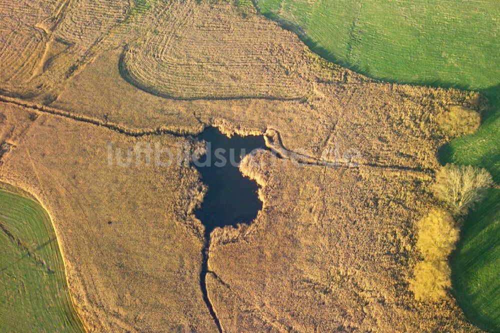 Bad Salzungen von oben - Herbstlandschaft