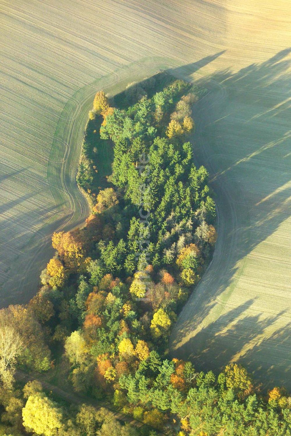 Bad Salzungen aus der Vogelperspektive: Herbstlandschaft