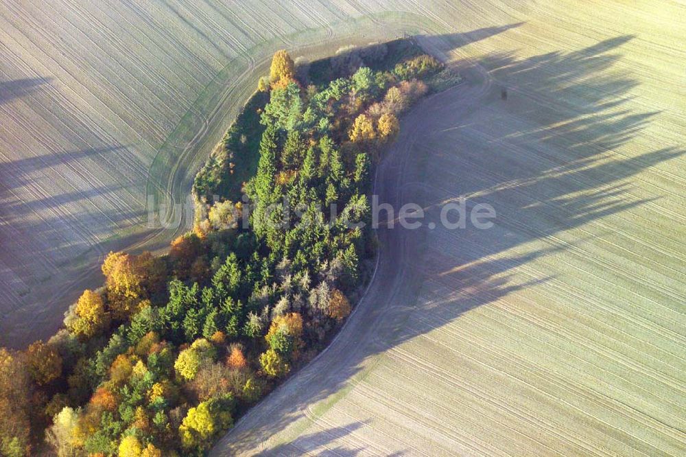 Luftbild Bad Salzungen - Herbstlandschaft