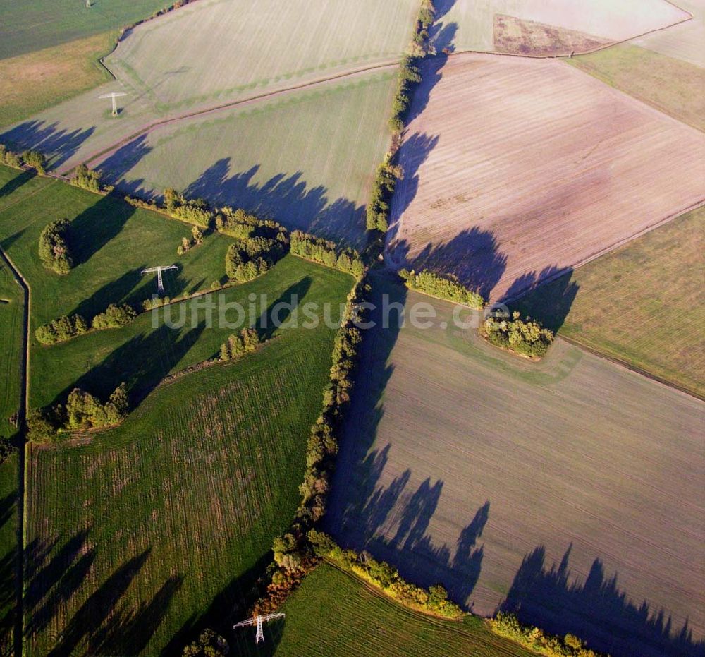 Preetz von oben - Herbstlandschaft