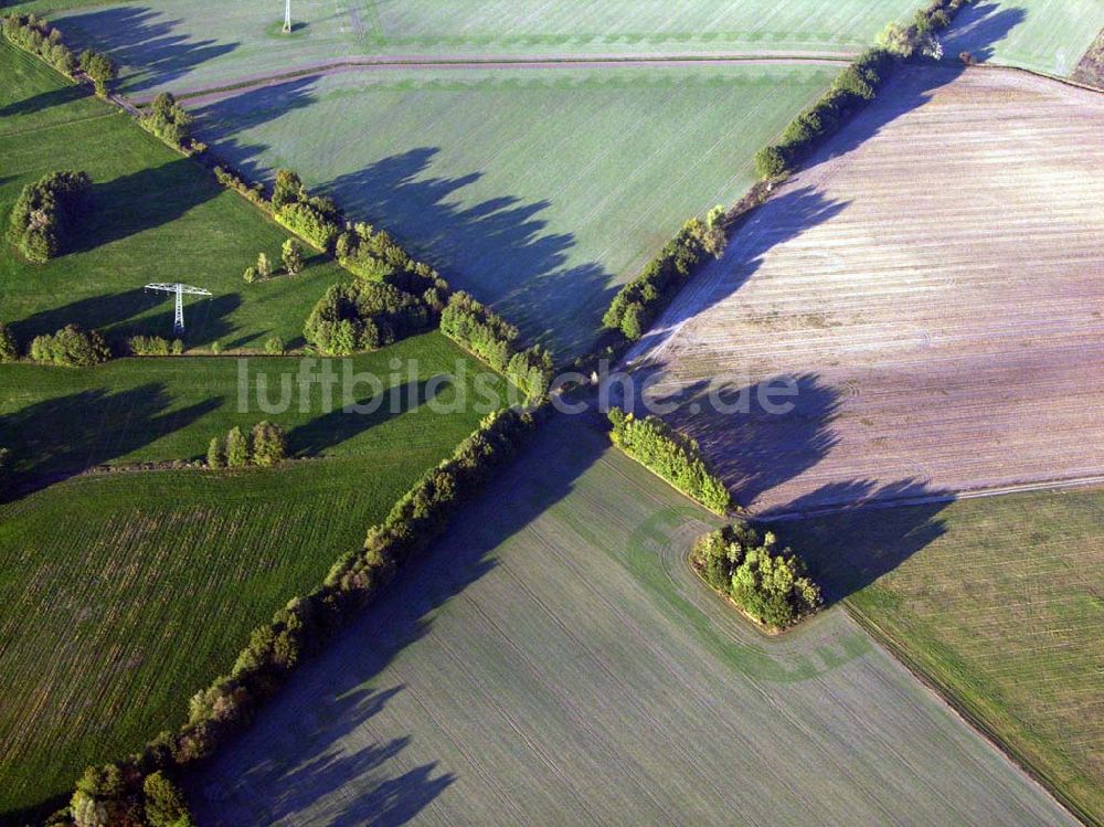 Preetz aus der Vogelperspektive: Herbstlandschaft