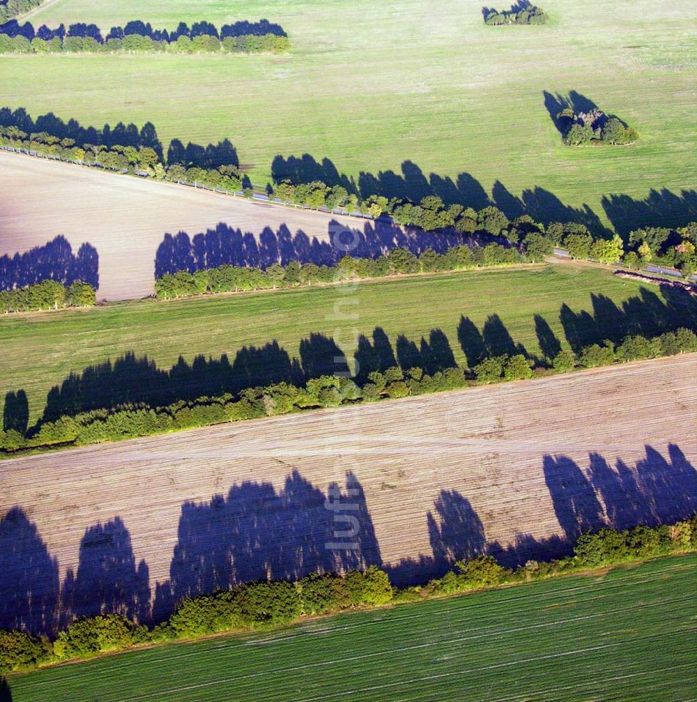 Luftaufnahme Preetz - Herbstlandschaft