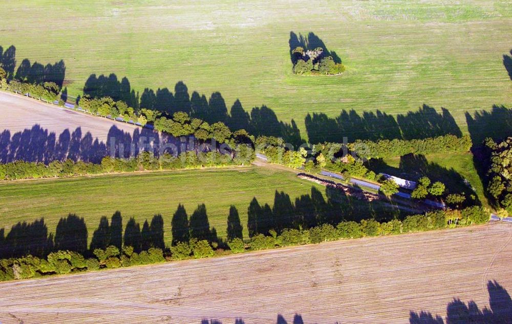 Preetz von oben - Herbstlandschaft