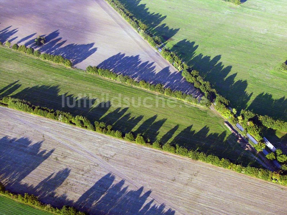 Preetz aus der Vogelperspektive: Herbstlandschaft