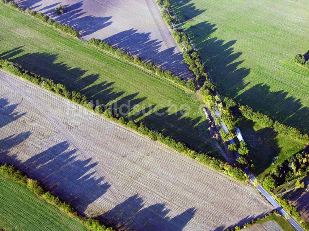 Luftbild Preetz - Herbstlandschaft