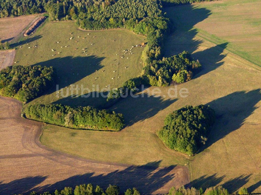 Luftaufnahme Preetz - Herbstlandschaft