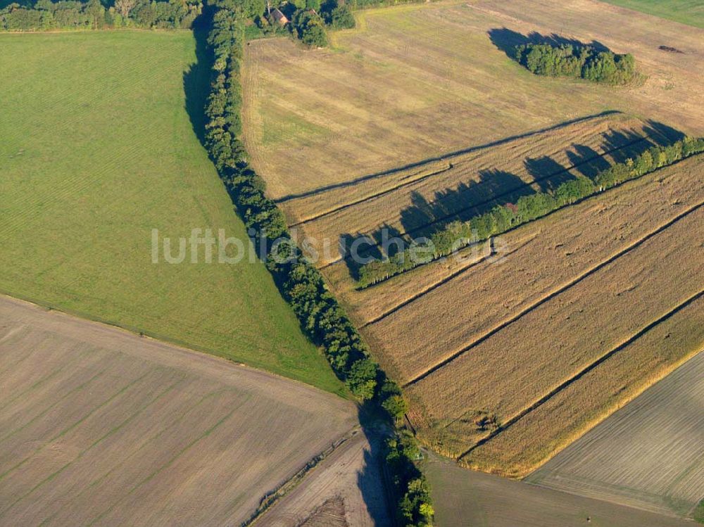 Preetz von oben - Herbstlandschaft