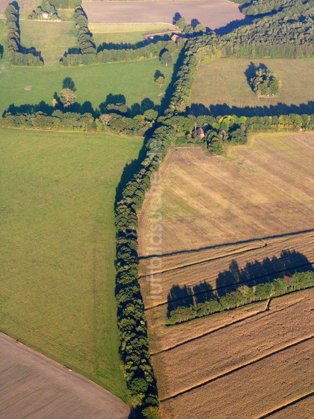 Preetz aus der Vogelperspektive: Herbstlandschaft