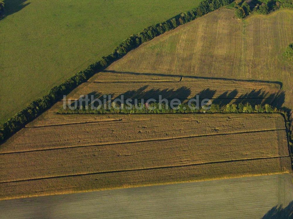 Luftbild Preetz - Herbstlandschaft