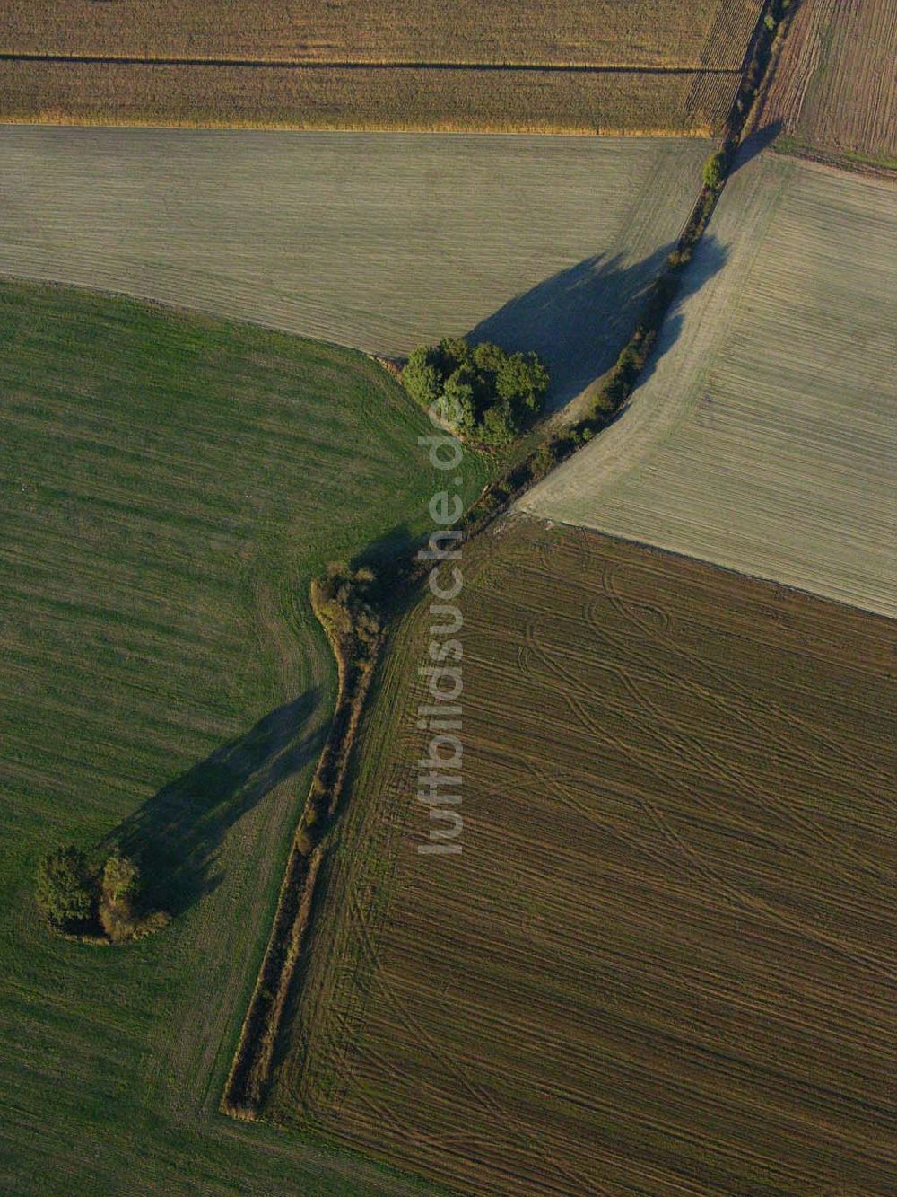 Luftaufnahme Preetz - Herbstlandschaft