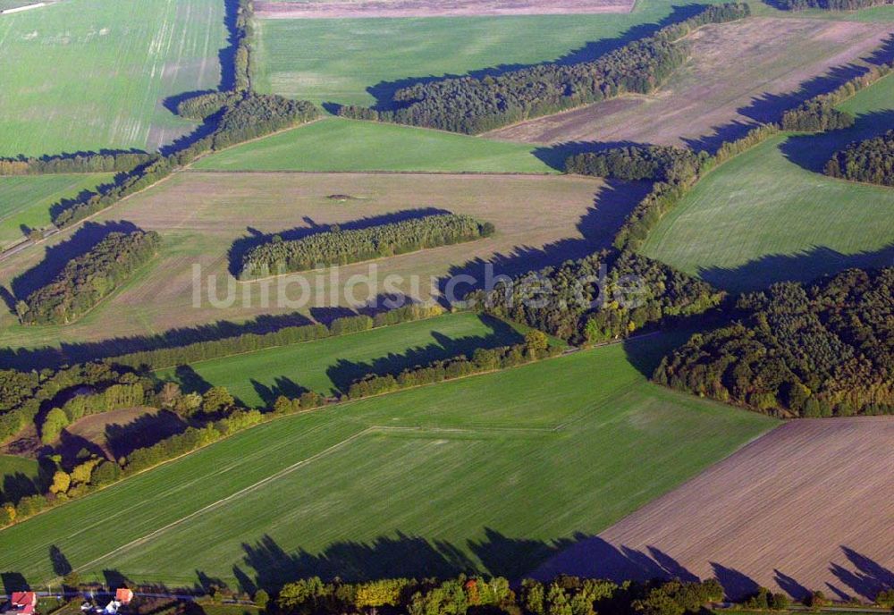 Preetz von oben - Herbstlandschaft