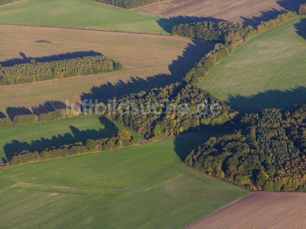 Preetz aus der Vogelperspektive: Herbstlandschaft