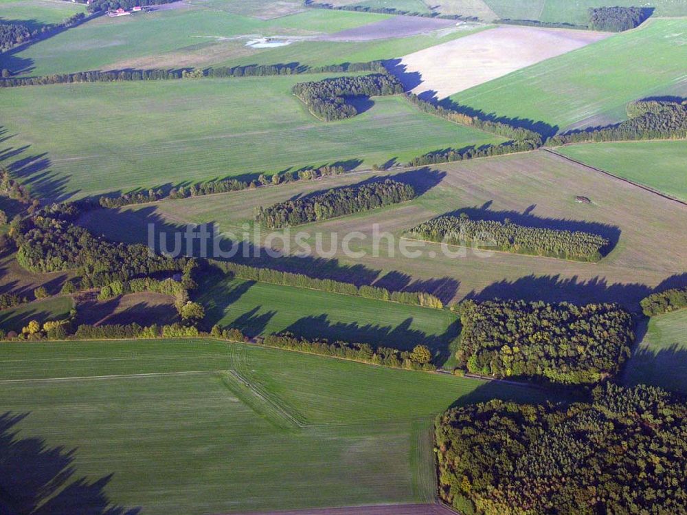 Luftbild Preetz - Herbstlandschaft