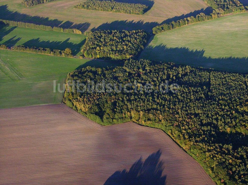 Luftaufnahme Preetz - Herbstlandschaft