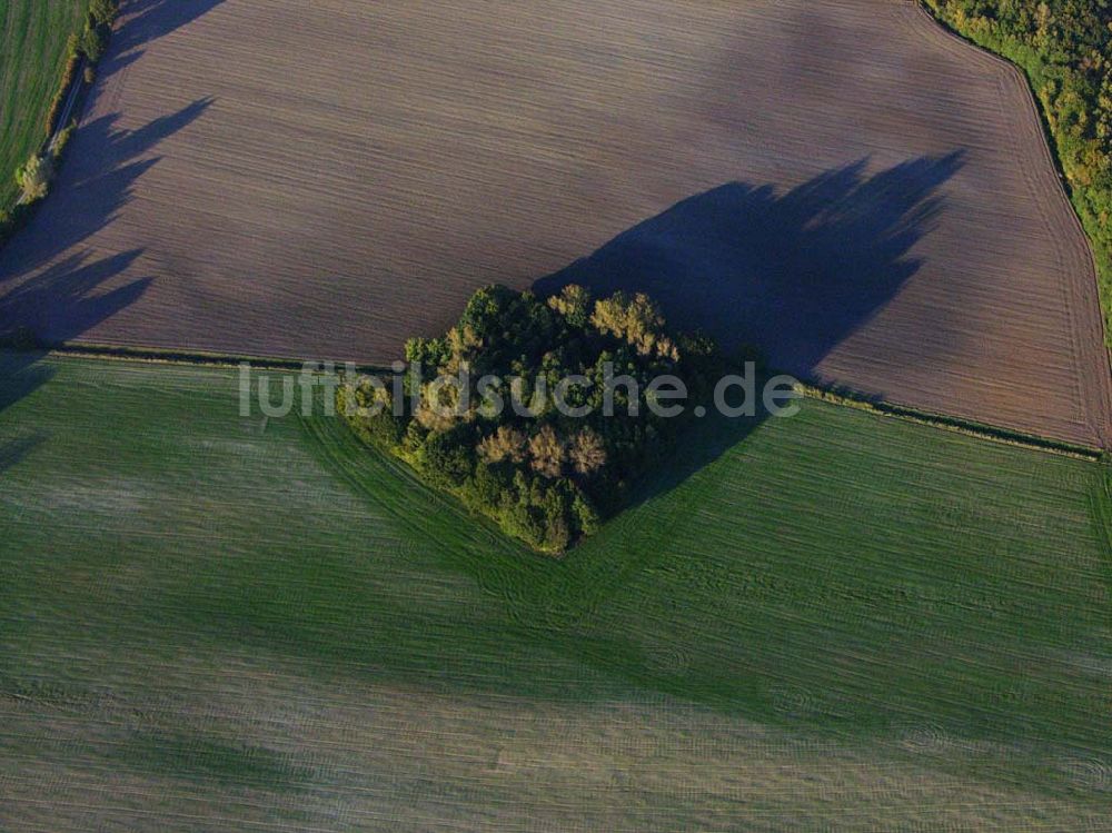 Preetz von oben - Herbstlandschaft