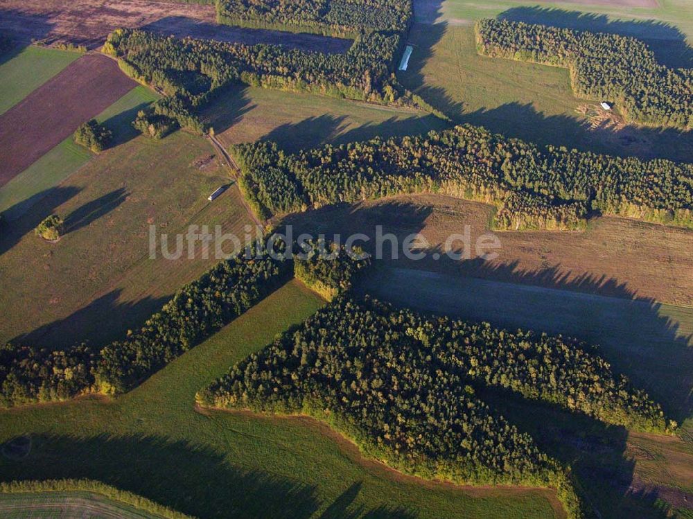 Preetz aus der Vogelperspektive: Herbstlandschaft