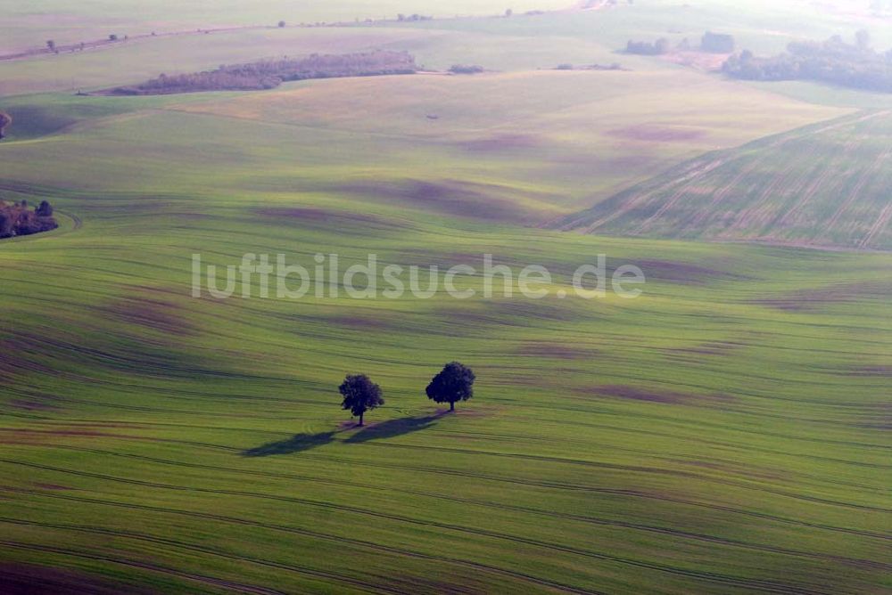 Luftaufnahme Klein Sperrenwalde - Herbstlandschaft