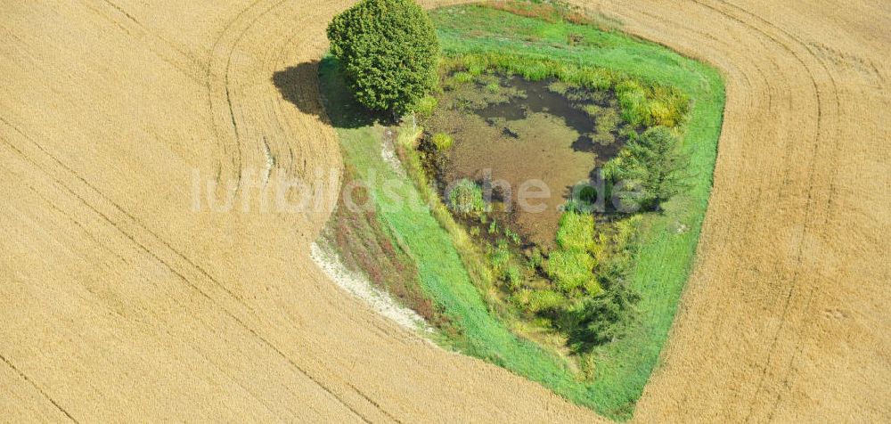 Mönchgrün von oben - Herbstlandschaft abgeernteter Felder mit einem Tümpel und Baumbewuchs als Insel bei Mönchgrün in Thüringen