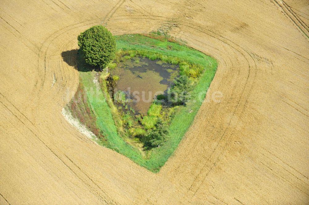 Mönchgrün aus der Vogelperspektive: Herbstlandschaft abgeernteter Felder mit einem Tümpel und Baumbewuchs als Insel bei Mönchgrün in Thüringen